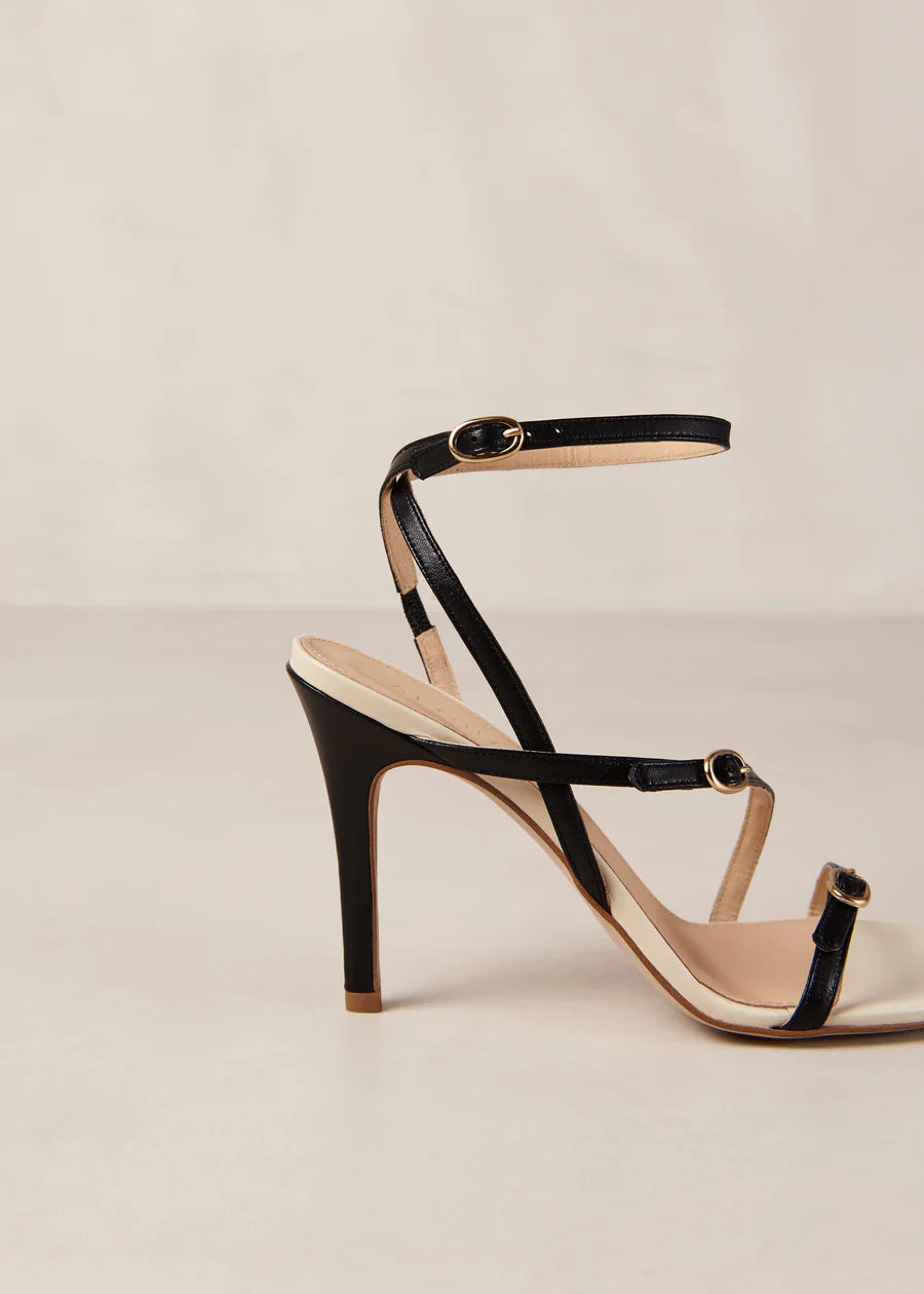 Alyssa Black and Cream