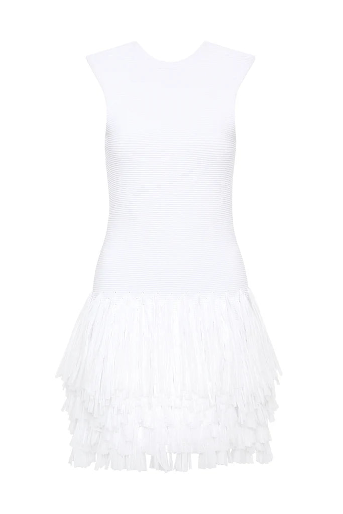 Rushes Fringe Knit Mini Dress